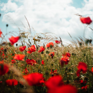 News from the Parishes October-November 2024