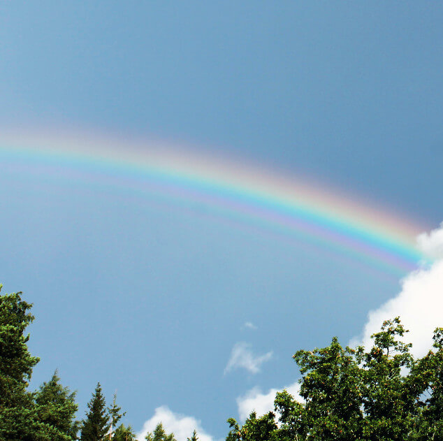 News from the Parishes - June 2020