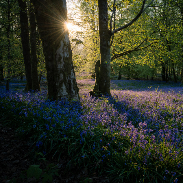 News from the Parishes - May 2021